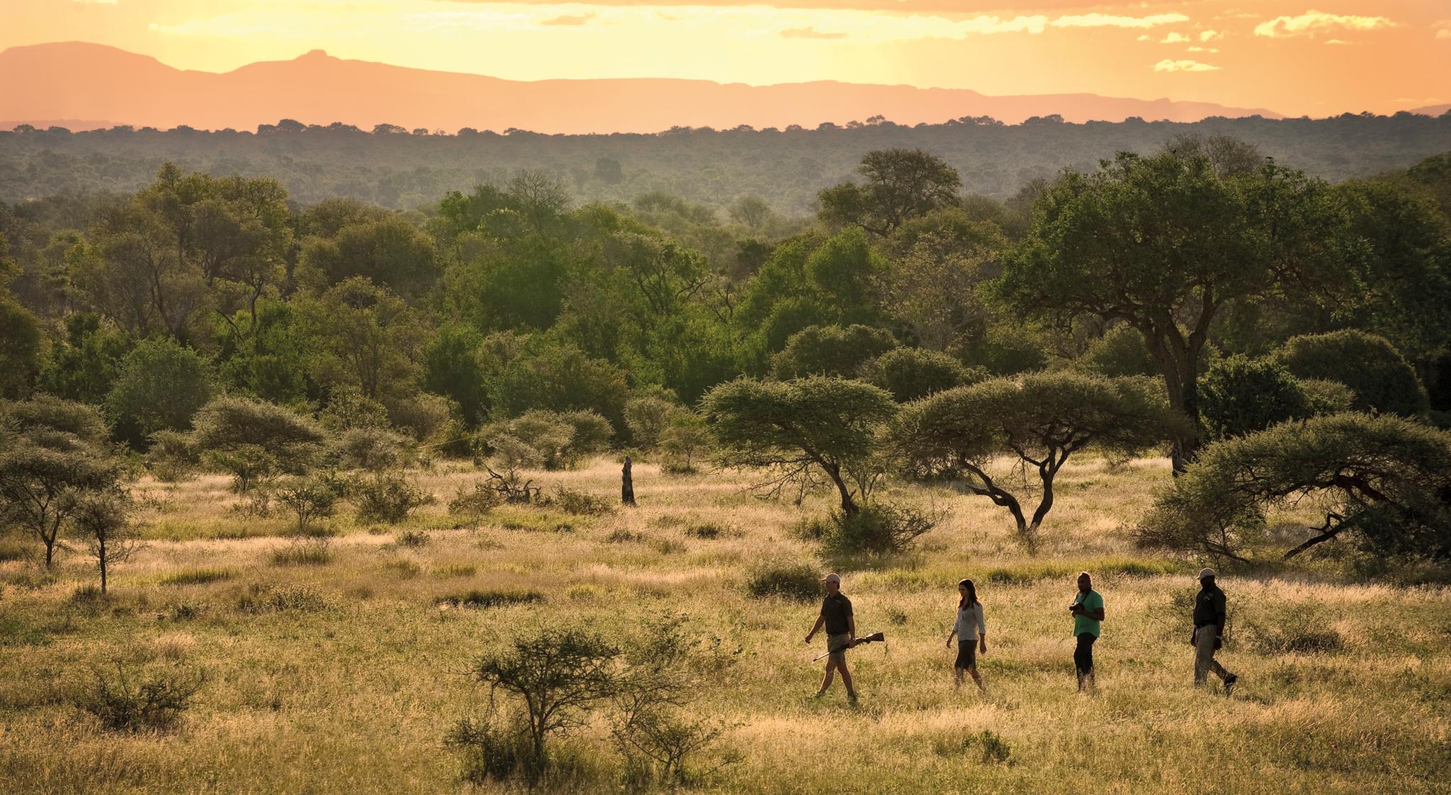 Lion Sands Narina Lodge Sabi Sand Game Reserve Εξωτερικό φωτογραφία