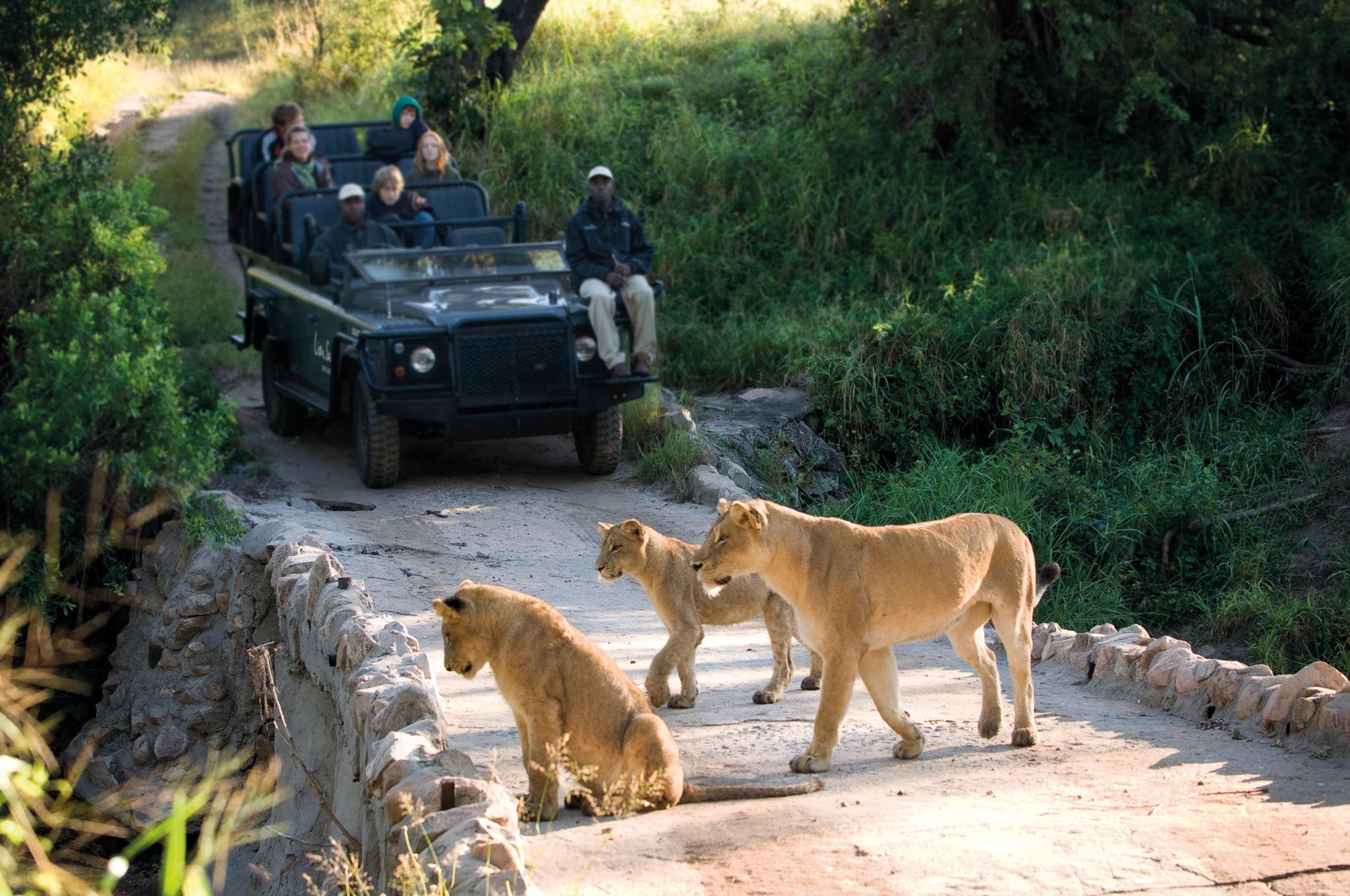 Lion Sands Narina Lodge Sabi Sand Game Reserve Εξωτερικό φωτογραφία