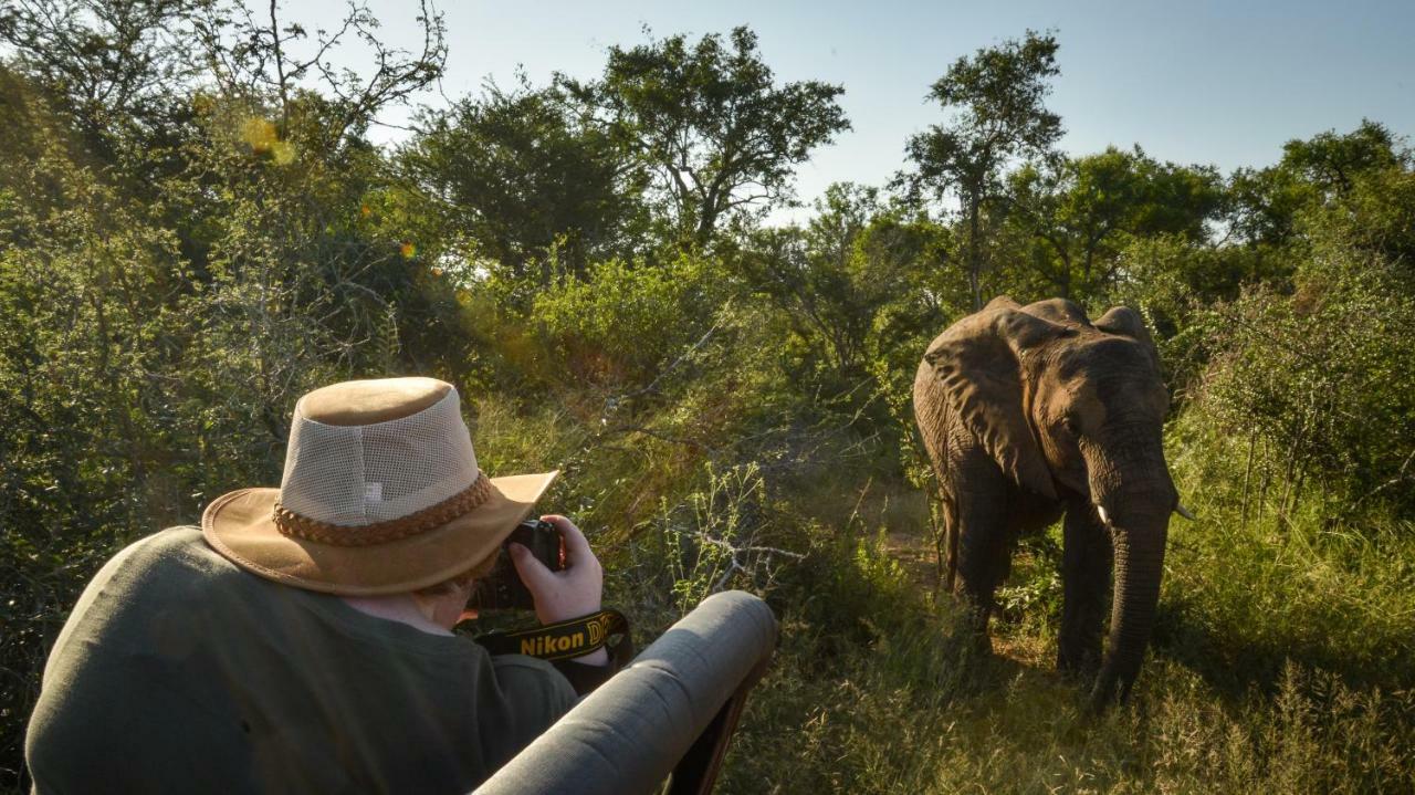 Lion Sands Narina Lodge Sabi Sand Game Reserve Εξωτερικό φωτογραφία