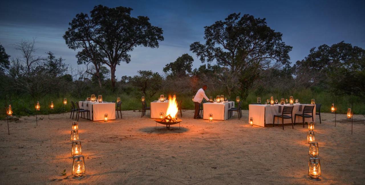 Lion Sands Narina Lodge Sabi Sand Game Reserve Εξωτερικό φωτογραφία